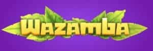Download blaze